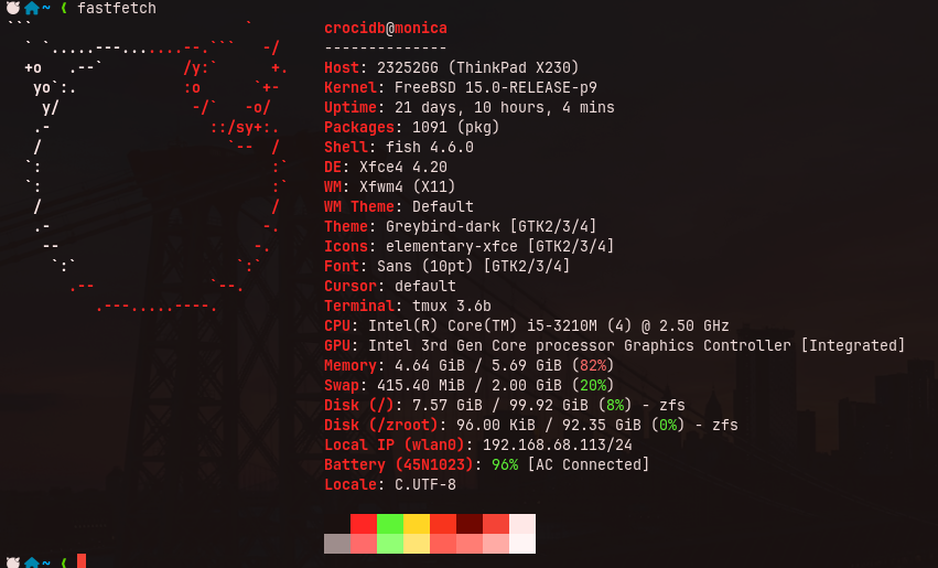 图5:htop 显示 4.49G/5.69G